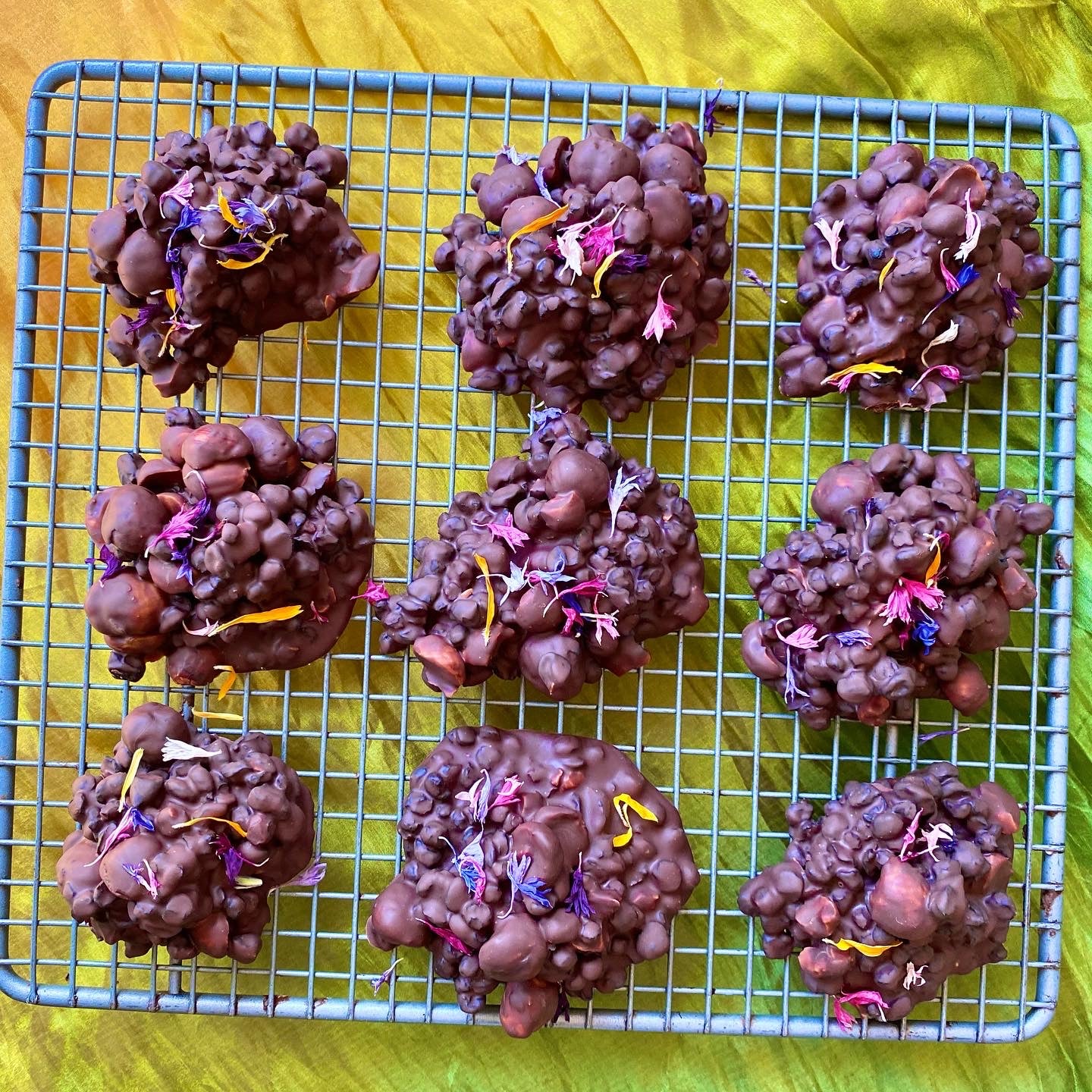 Wild Blueberry + Hazelnut in Vegan Chocolate