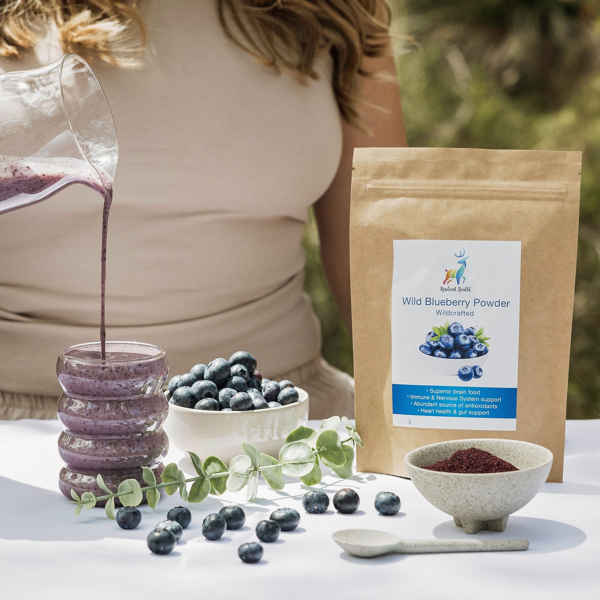Canadian Wild Blueberry Powder (Wild Grown)