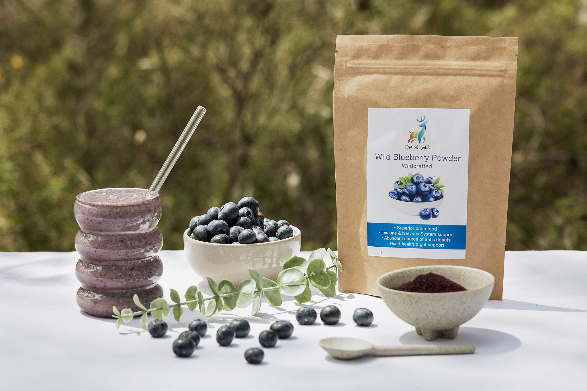 Canadian Wild Blueberry Powder (Wild Grown)